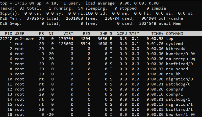 Linux top command output