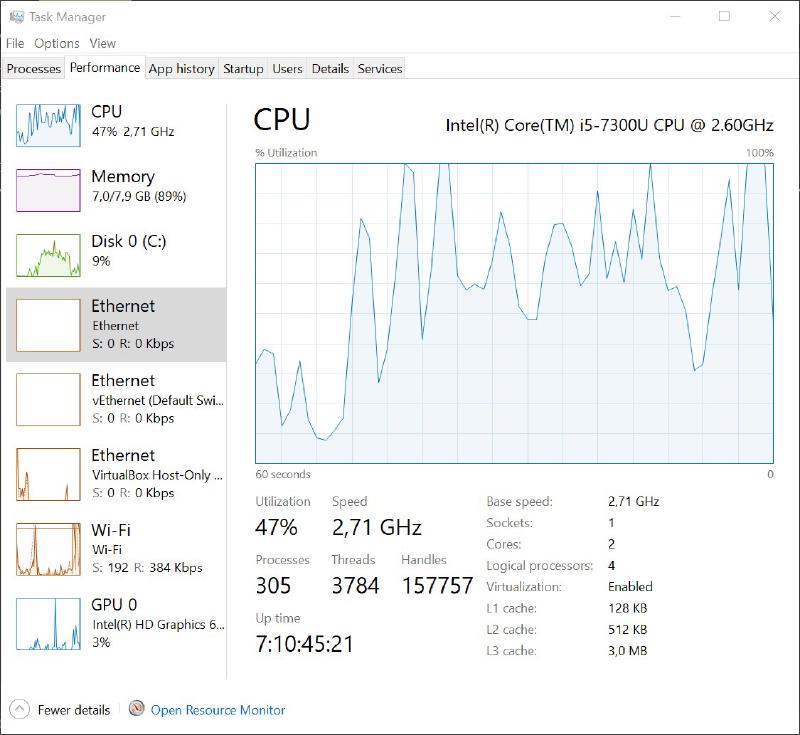 Windows Task Manager Output